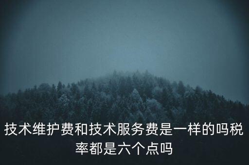 技術(shù)維戶費交什么稅，維修費交什么稅