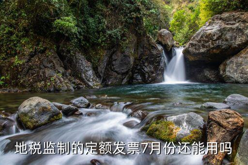 地稅定額票可以用到什么時候，廣東省地稅買的發(fā)票最遲可以用到什么時候