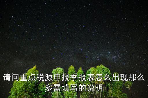 重點稅源申報要填什么，重點稅源申報表怎樣填