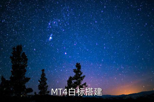 稅務(wù)系統(tǒng)為什么進(jìn)行容災(zāi)建設(shè)，小微企業(yè)該購(gòu)買什么樣的服務(wù)器涉及生產(chǎn)倉(cāng)儲(chǔ)銷售和財(cái)務(wù)等  搜