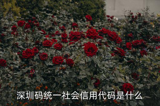 統(tǒng)一社會信用代碼指什么影響，深圳碼統(tǒng)一社會信用代碼是什么