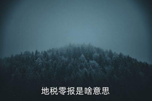 陜西什么是地稅0申報(bào)，陜西地稅0申報(bào)怎么報(bào)
