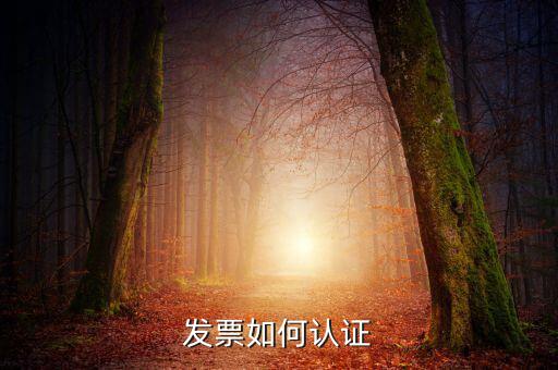 發(fā)票通過什么認證，關(guān)于發(fā)票認證哪些發(fā)票需要認證
