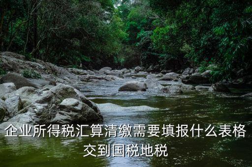 匯算清繳填寫什么表格，請教關(guān)于企業(yè)所得稅匯算清繳中需要填寫的表格的一些問題