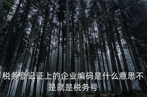 稅務(wù)編碼是什么意思，稅務(wù)登記證上的企業(yè)編碼是什么意思不是就是稅務(wù)號