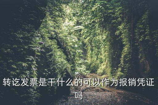 什么叫轉(zhuǎn)發(fā)票，我開了一張農(nóng)村合作信用社的轉(zhuǎn)賬發(fā)票請問什么是對應(yīng)發(fā)票