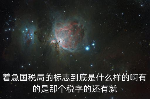 稅優(yōu)識別碼是什么樣的，納稅人辨認號和代碼是1樣的