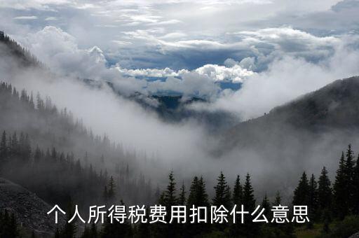 稅收扣除是什么，個(gè)人所得稅費(fèi)用扣除什么意思