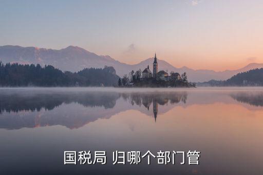 國(guó)稅直屬局管什么，國(guó)稅局 歸哪個(gè)部門(mén)管