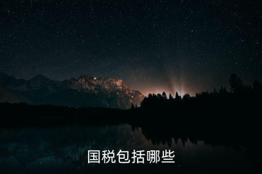 國稅綜合業(yè)務(wù)指什么，國稅包括哪些