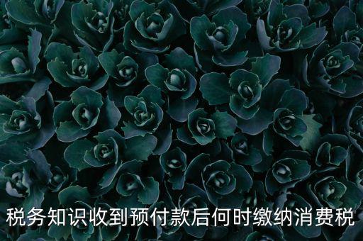 稅務(wù)知識收到預(yù)付款后何時繳納消費(fèi)稅
