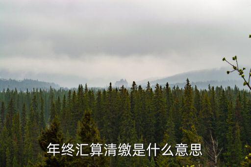 什么是企業(yè)匯算清繳，為什么年底要進(jìn)行企業(yè)所得匯算清繳