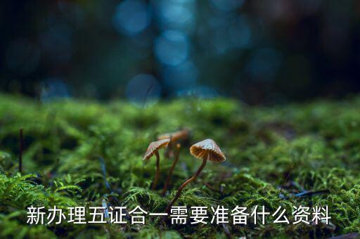 稅務(wù)五證合一需要什么資料，五證合一后稅務(wù)變更需要什么資料