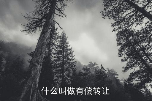有償轉(zhuǎn)移安置什么意思，有償轉(zhuǎn)發(fā)什么意思