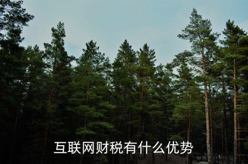 互聯(lián)網(wǎng)財(cái)稅有什么優(yōu)勢