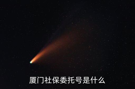 地稅社保委托號是什么，三證合一后去地稅局打社保單子說是與社保局的納稅人識別號不一