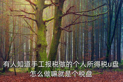 繳個(gè)稅用什么盤申報(bào)，個(gè)人所得稅報(bào)盤怎么弄