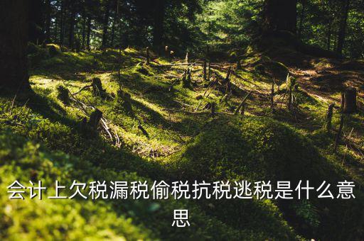 欠繳稅額是什么意思，增值稅申報表第26欄實收出口開具專用繳款書退稅額指的是什么
