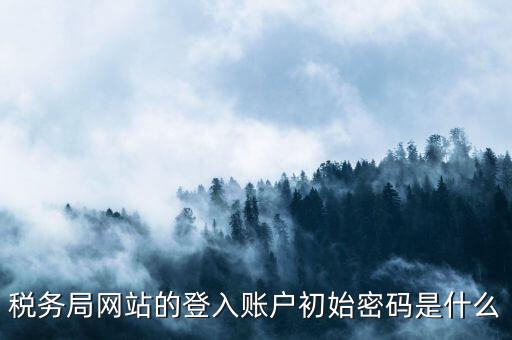 國稅網(wǎng)上登陸密碼是什么，稅務(wù)局網(wǎng)站的登入賬戶初始密碼是什么
