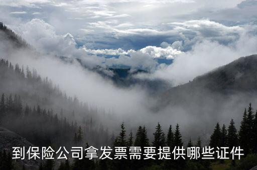 保險開專票需要什么資料，中國人壽保險打發(fā)票要什么手續(xù)
