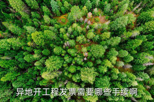 外地項(xiàng)目開(kāi)票需要什么手續(xù)，在外地開(kāi)票需要什么手續(xù)