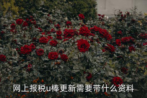 稅務(wù)u棒長什么樣，網(wǎng)上報(bào)稅u棒更新需要帶什么資料