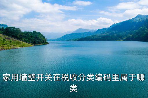 稅收分類編碼是什么意思，汽車導航儀稅收分類編碼是什么