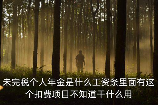 個(gè)稅年金是什么，未完稅個(gè)人年金是什么工資條里面有這個(gè)扣費(fèi)項(xiàng)目不知道干什么用