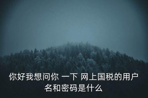 你好我想問(wèn)你 一下 網(wǎng)上國(guó)稅的用戶(hù)名和密碼是什么