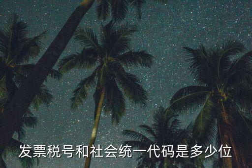 發(fā)票統(tǒng)一社會(huì)信用代碼是什么，現(xiàn)在開發(fā)票要的社會(huì)信用代碼是誰的代碼