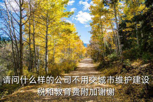 什么情況不交城建稅，什么時候不需要交納營業(yè)稅城建稅及附加