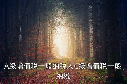 b級納稅人是什么意思，A級增值稅一般納稅人C級增值稅一般納稅