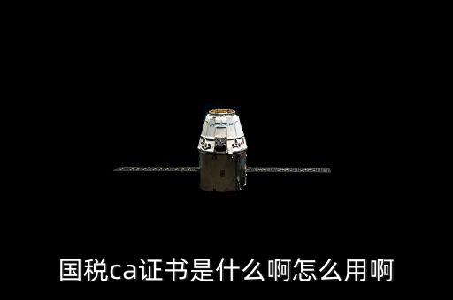 國(guó)稅的ca證書(shū)是什么意思，CA證書(shū)是什么東西包括pfx cert么