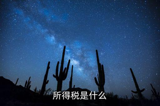 什么是額外所得稅，所得稅是什么