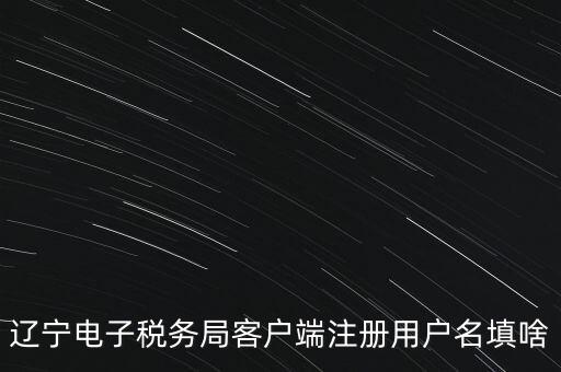 網(wǎng)上辦稅帳號(hào)是什么，登錄國稅網(wǎng)上辦稅服務(wù)廳的用戶名和密碼是什么