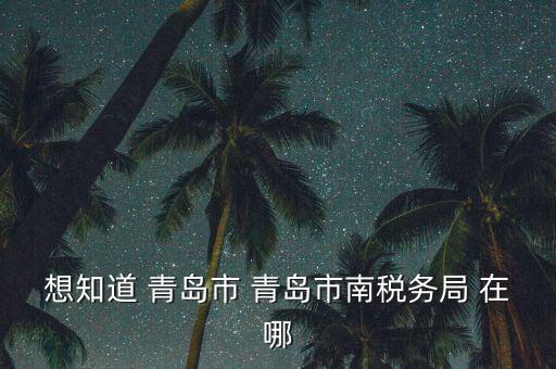 青島稅務(wù)局在什么地方，青島國稅局在什么位置在什么路上