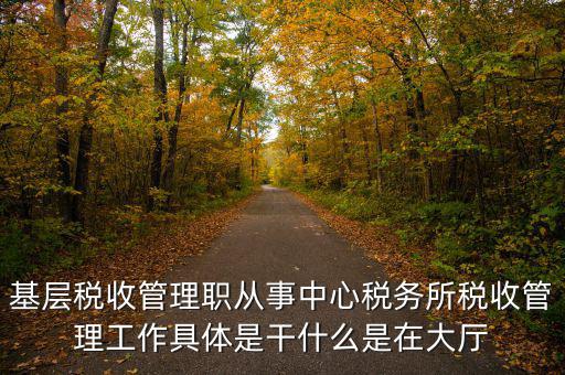 稅源管理干什么，基層稅收管理職從事中心稅務(wù)所稅收管理工作具體是干什么是在大廳
