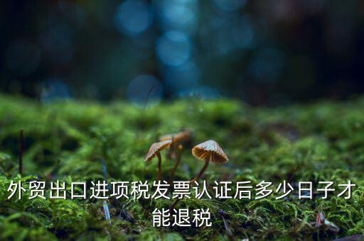 什么時(shí)候可以退稅，退稅是按進(jìn)項(xiàng)發(fā)票認(rèn)證的時(shí)間來退稅的