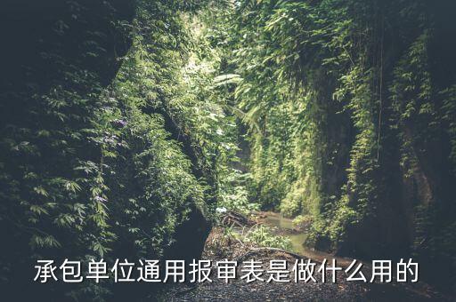 通用申報(bào)是什么意思，申報(bào)是什么意思