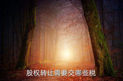 股權(quán)轉(zhuǎn)讓需要繳納什么稅，股權(quán)轉(zhuǎn)讓要交什么稅