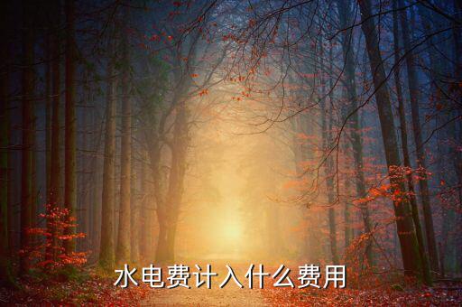 電費(fèi)水費(fèi)公司的費(fèi)用算什么，公司用的水電費(fèi)計(jì)入管理費(fèi)用的什么二級(jí)科目