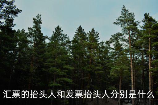 發(fā)票司稱人什么意思，匯票的抬頭人和發(fā)票抬頭人分別是什么