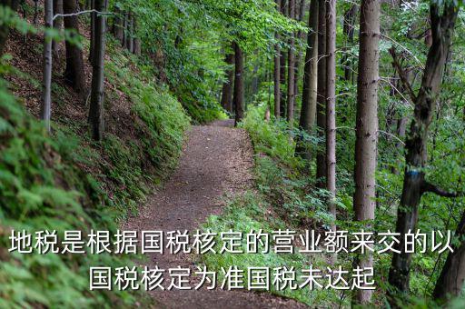 地稅定稅是根據(jù)什么定的，問題國稅和地稅的定稅依據(jù)是什么
