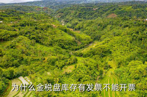 為什么金稅盤(pán)庫(kù)存有發(fā)票不能開(kāi)票