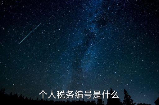 個人的稅收編號是什么，個人所得稅里面的注冊編碼是什么