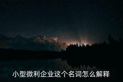 微利成公司是什么意思，小型微利企業(yè)這個(gè)名詞怎么解釋