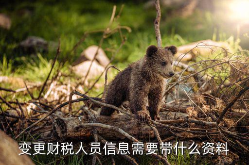 變更辦稅人員要帶什么，如何變更辦稅員