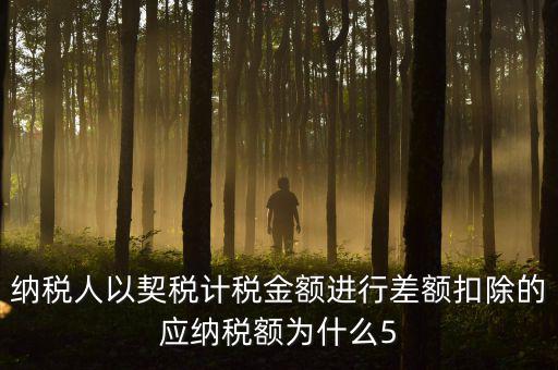為什么 契稅 差額計稅，最新房產(chǎn)稅費