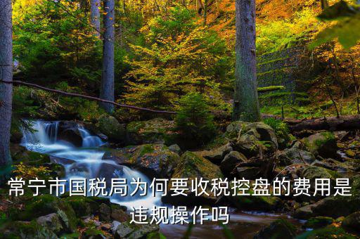 為什么要使用稅控盤，常寧市國(guó)稅局為何要收稅控盤的費(fèi)用是違規(guī)操作嗎