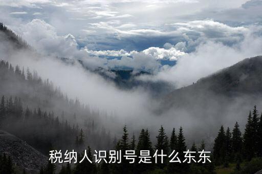 客戶納稅識別號是什么意思，稅納人識別號是什么東東